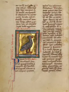 An Ostrich; Bestiary, about 1270. Creator: Unknown