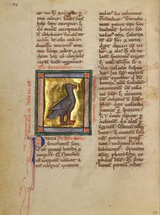 An Ostrich; Bestiary, about 1270. Creator: Unknown