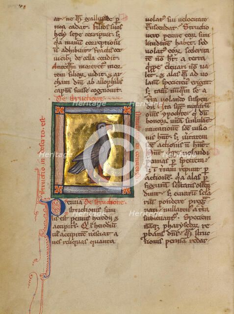 An Ostrich; Bestiary, about 1270. Creator: Unknown.