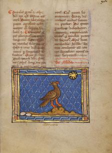 An Ostrich; Bestiary, about 1270. Creator: Unknown