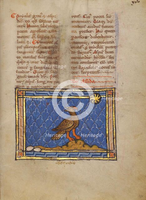 An Ostrich; Bestiary, about 1270. Creator: Unknown.