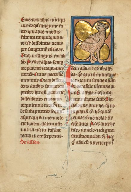 An Ostrich; De Natura Avium; De Pastoribus et Ovibus; Bestiarium, 1277 or after. Creator: Unknown.
