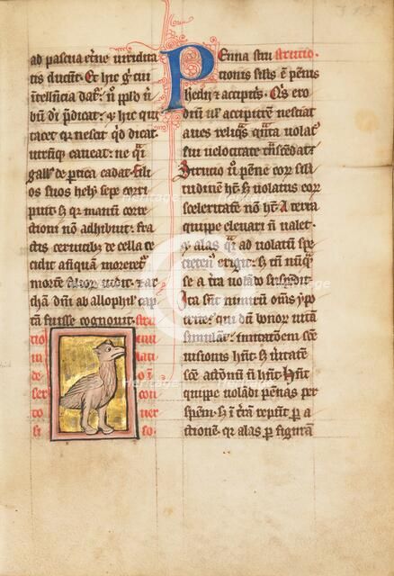 An Ostrich; De Natura Avium; De Pastoribus et Ovibus; Bestiarium, 1277 or after. Creator: Unknown.