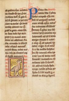An Ostrich; De Natura Avium; De Pastoribus et Ovibus; Bestiarium, 1277 or after. Creator: Unknown