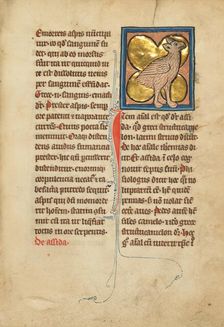 An Ostrich; De Natura Avium; De Pastoribus et Ovibus; Bestiarium, 1277 or after. Creator: Unknown