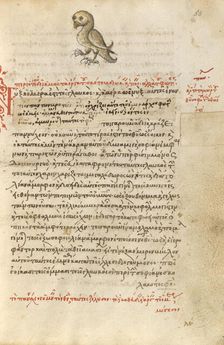 An Owl, 1510-1520. Creator: Unknown