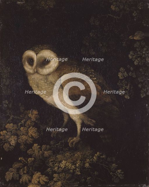 An Owl, 1780-1790. Creator: Moses Haughton.