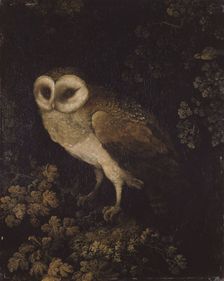 An Owl, 1780-1790. Creator: Moses Haughton