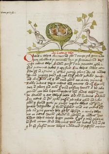 An Owlet and a Goshawk in Some Branches; Fables, third quarter of 15th century. Creator: Unknown