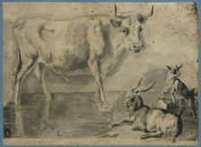 An ox and two goats, unknown date. Creator: Anon