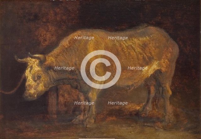 An Ox Standing, 1644. Creators: Rembrandt Harmensz van Rijn, School of Rembrandt van Rijn.