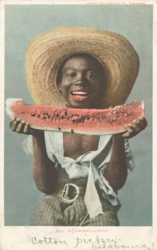 An Unbiased Opinion, ca.1898 - 1931. Creator: Detroit Publishing Company