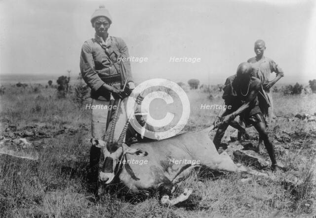Antelope killed in Africa, between c1915 and c1920. Creator: Bain News Service.