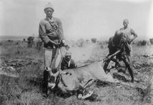 Antelope killed in Africa, between c1915 and c1920. Creator: Bain News Service
