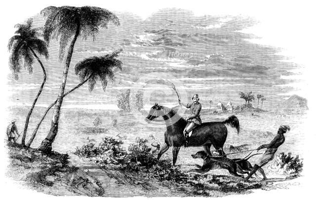 Antelope-Hunting in India - Antelopes driven from Cover, 1858. Creator: Unknown.