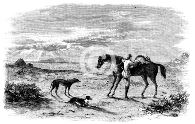 Antelope-Hunting in India - Preparing to Return, 1858. Creator: Unknown.