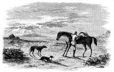 Antelope-Hunting in India - Preparing to Return, 1858. Creator: Unknown