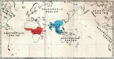 Anthropoidea - Map distribution Genera Semnopithecus (Blue), Nasalis (Brown), Colobus (Red) 1897