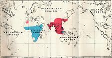 Anthropoidea - VI. Map distribution of various species (Blue) and Macacus (Red) 1897