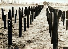 Anti-tanks rails, Maginot Line, France, 20th century. Creator: Unknown