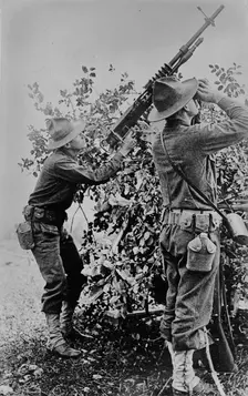 Anti-aircraft gun, 1918. Creator: Bain News Service