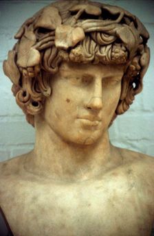 Antinous (d122), Bithynian youth, favourite and companion of the Roman emperor Hadrian