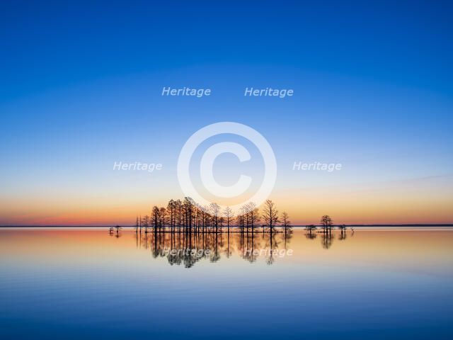 Anticipation. Creator: Eve Turek.