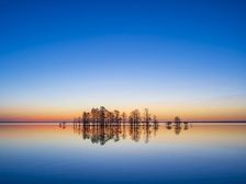 Anticipation. Creator: Eve Turek