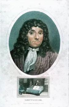 Anton van Leeuwenhoek (1632-1723), Dutch microscopist, c1810. Artist: John Chapman