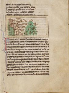 Ants; Northumberland Bestiary, about 1250-1260. Creator: Unknown