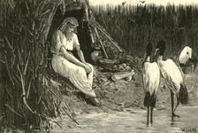Anysis Concealed in the Marshes of the Delta 1890. Creator: Unknown
