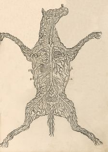 Anatomia del Cavallo. Infirmita del Cavallo, 1602. Creator: Carlo Ruini