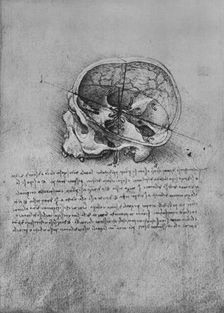 Anatomical Drawing of a Skull to the Left c1480 (1945). Artist: Leonardo da Vinci
