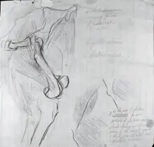Anatomical Drawing, c. 1878. Creator: Thomas Eakins