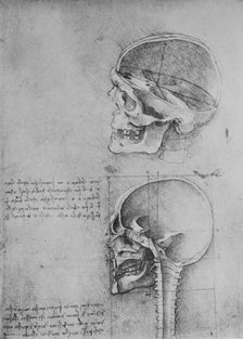 Anatomical Drawings of Two Skulls in Profile to the Left c1480 (1945). Artist: Leonardo da Vinci