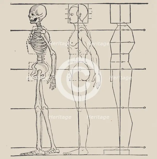 Anatomical illustration, 1564. Creator: Heinrich Lautensack.