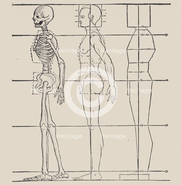 Anatomical illustration, 1564. Creator: Heinrich Lautensack.