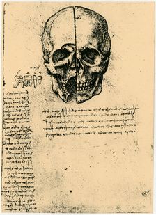 Anatomical sketch of a human skull, c1472-1519. Artist: Leonardo da Vinci