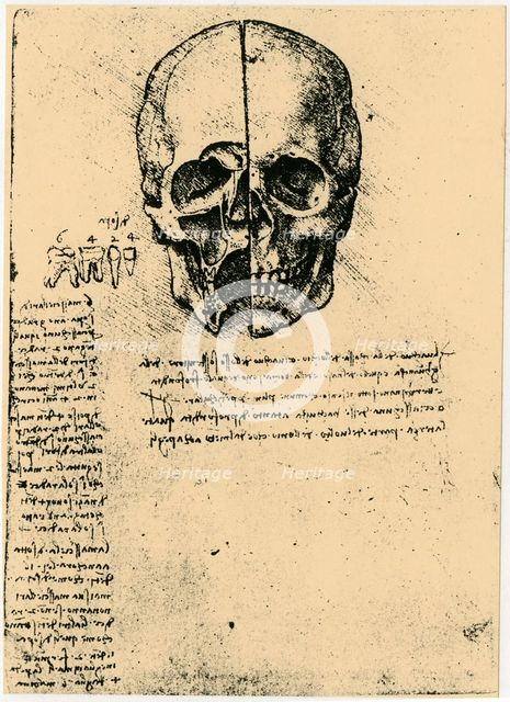 Anatomical sketch of a human skull, c1472-1519. Artist: Leonardo da Vinci