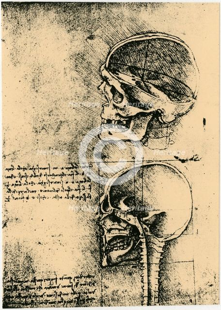 Anatomical sketch; two studies of a human skull, c1489. Artist: Leonardo da Vinci