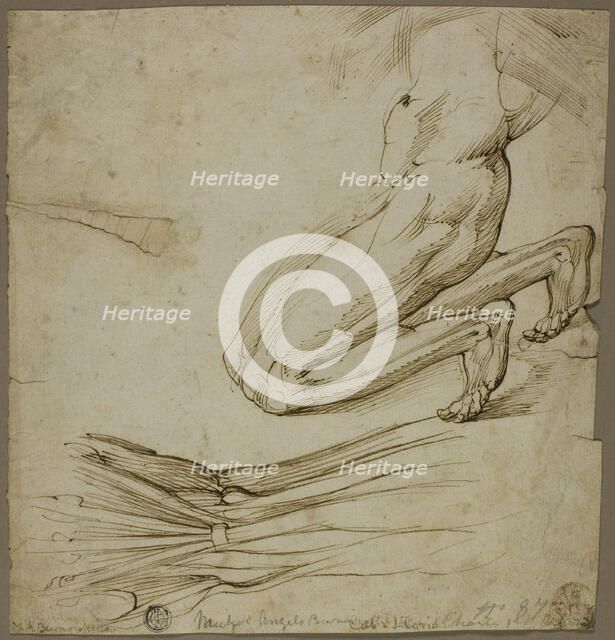 Anatomical Study and Sketch of Kneeling Figure, n.d. Creator: Unknown.