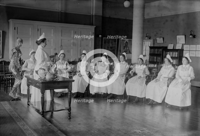 Anatomy class, between c1915 and 1918. Creator: Bain News Service.