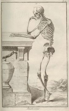 Anatomy. From Encyclopédie by Denis Diderot and Jean Le Rond d'Alembert, 1751-1765. Creator: Anonymous