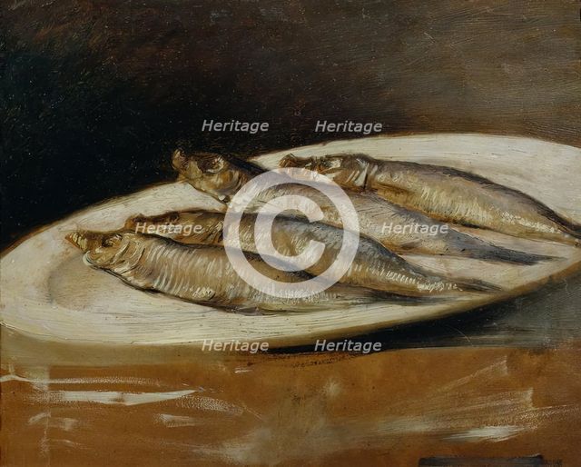 Anchovy, undated. (c1830s) Creator: Josef Navratil.