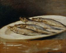 Anchovy, undated. (c1830s) Creator: Josef Navratil