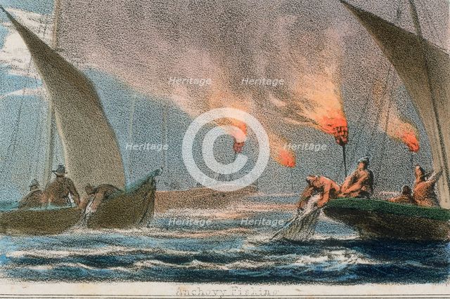 'Anchovy Fishing', c1845. Creators: Benjamin Waterhouse Hawkins, Robert Kent Thomas.