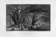 Ancient Cedars in the Forest of Lebanon 1841. Artist: J Redaway