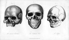 Ancient Cimbrian, Esthonian Finn, Lappe, 1848