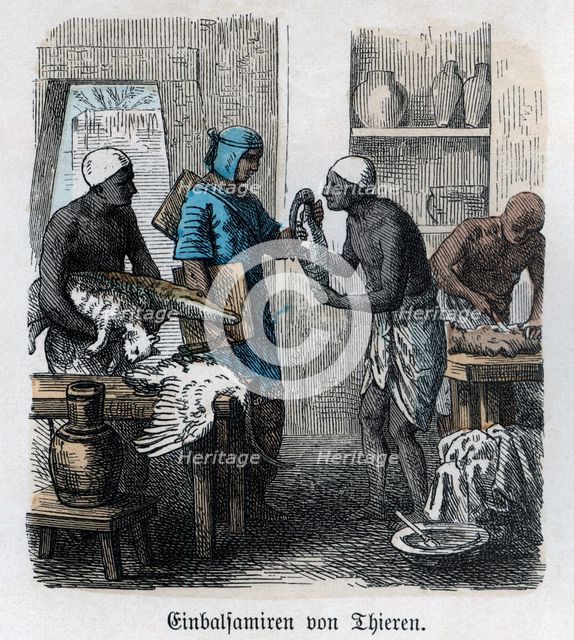 Ancient History. Egypt. Embalming of animals. German engraving, 1865.