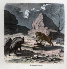 Ancient History. Persia. Abandonment of a corpse to the beasts. German engraving, 1865